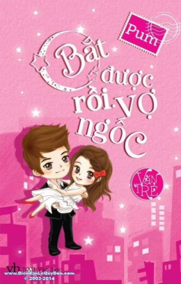 Bắt Được Rồi, Vợ Ngốc – Đọc sách online ebook pdf