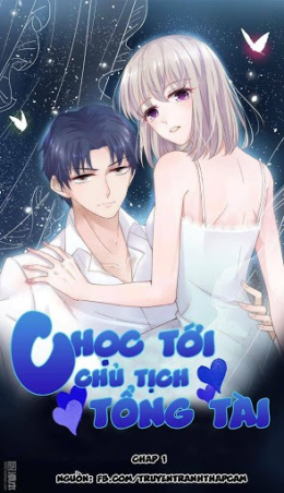 Chọc Tới Chủ Tịch Tổng Tài – Đọc sách online ebook pdf