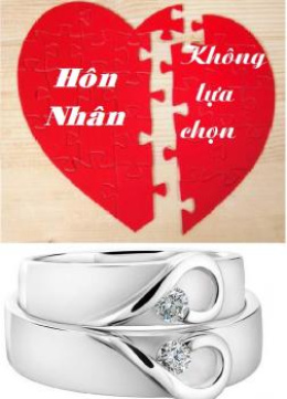 Hôn Nhân Không Lựa Chọn – Đọc sách online ebook pdf