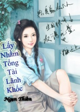 Lấy Nhầm Tổng Tài Lãnh Khốc – Đọc sách online ebooks PDF