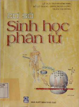 Cơ Sở Sinh Học Phân Tử – Đọc Sách Online Miễn Phí Ebooks PDF