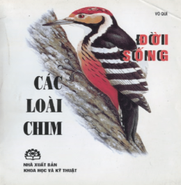 Đời Sống Của Các Loài Chim – Web Tải Sách Miễn Phí Ebooks PDF