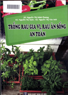 Trồng Rau Gia Vị – Rau Ăn Sống An Toàn – Web Tải Sách Miễn Phí Ebooks PDF