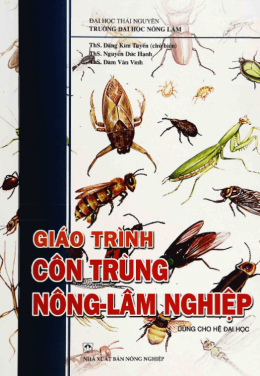 Giáo Trình Côn Trùng Nông – Lâm Nghiệp – Đọc Sách Online Miễn Phí Ebooks PDF