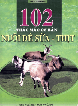 102 Thắc Mắc Cơ Bản Nuôi Dê Sữa – Thịt
