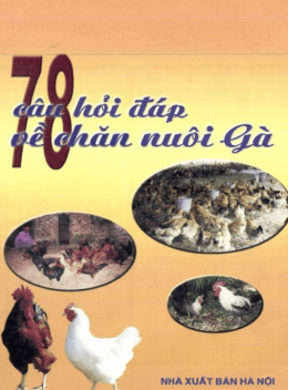 78 Câu Hỏi Đáp Về Chăn Nuôi Gà