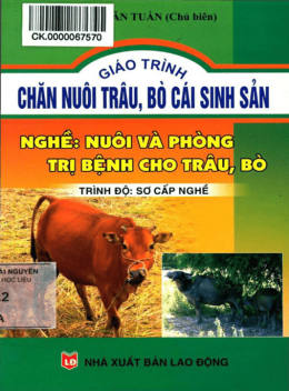 Giáo Trình Chăn Nuôi Trâu Bò Cái Sinh Sản