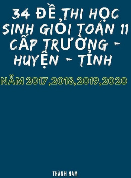 34 Đề Thi Học Sinh Giỏi Toán Lớp 11 Cấp Trường Huyện Tỉnh Năm 2017-2018-2019-2020